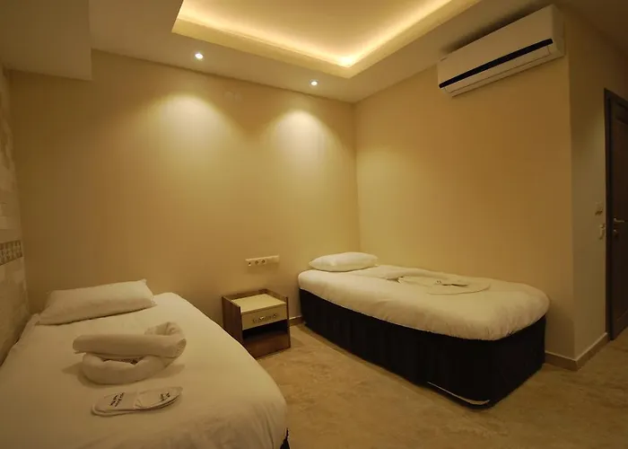 Отель Beyoglu Palace Termal